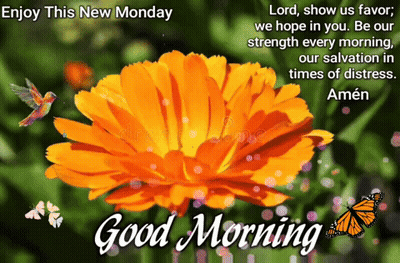 Good Morning Flower And Butterfly GIF