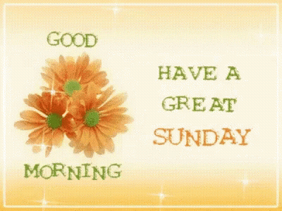 Good Morning Flower Card Have A Great Sunday GIF