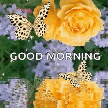 Good Morning Flowers And Butterfly With Reflection