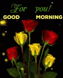 Good Morning Flowers For You Red And Yellow Roses GIF