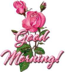 Good Morning Flowers Glittering Pink Roses With Stem