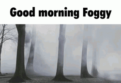 Good Morning Fog GIF