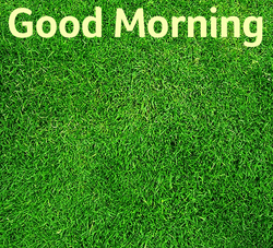 Good Morning Friend G+ GIF