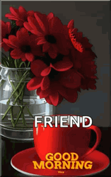 Good Morning Friend Inspirational Red Flowers GIF