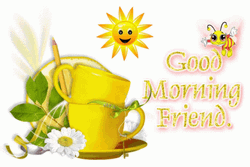 Good Morning Friend Sunny Day GIF