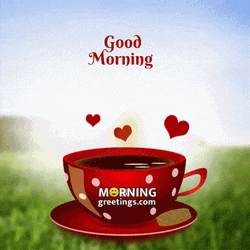 Good Morning GIF