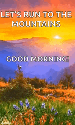 Good Morning GIF