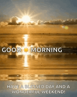 Good Morning GIF