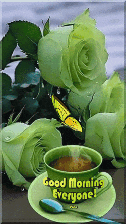 Good Morning GIF
