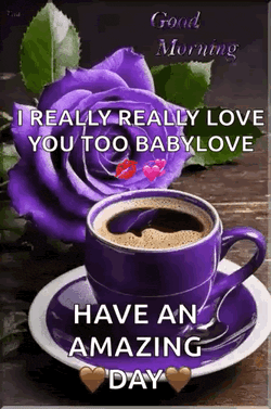 Good Morning GIF