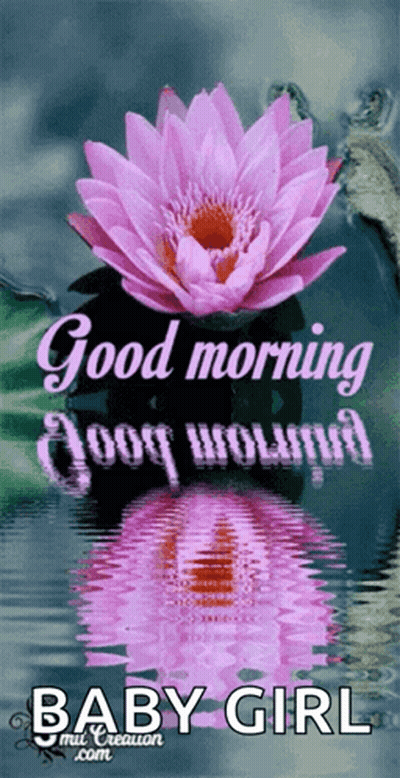 Good Morning God Bless You GIF
