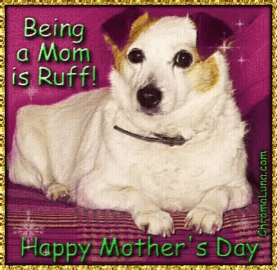 Good Morning God Bless You Saturday Card GIF