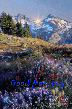 Good Morning Good Night Images GIF