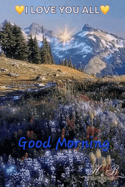 Good Morning Good Night Images GIF