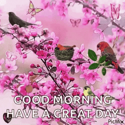 Good Morning Greeting Card With Birds And Butterflies GIF