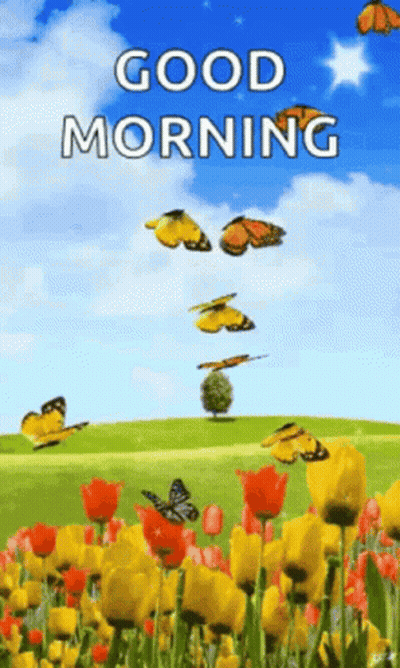 Good Morning Greeting Card With Butterflies GIF