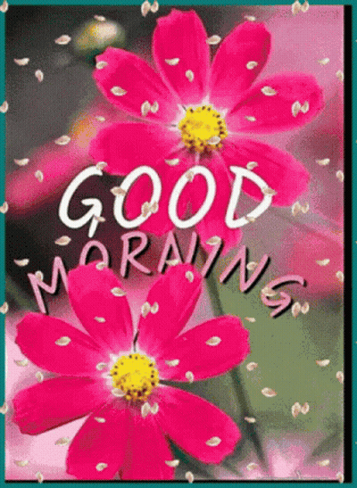 Good Morning Greeting Card With Pink Flowers GIF