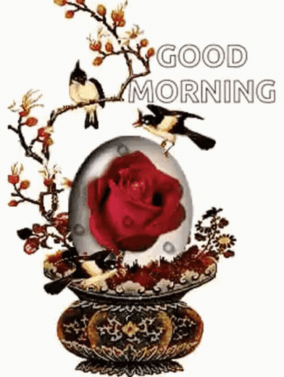 Good Morning Greeting Card With Red Rose And Two Birds In Glass Ball GIF
