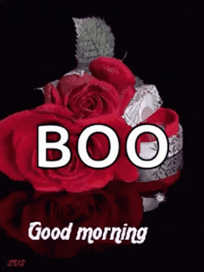 Good Morning Greeting Card With Rose In Water GIF