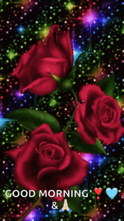 Good Morning Greeting With Red Roses GIF