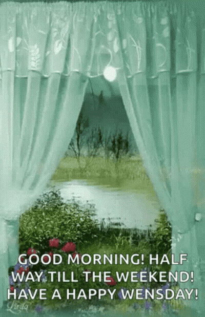 Good Morning Halfway to Weekend Happy Wednesday