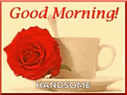 Good Morning Handsome Daniel & Hello Kitty GIF | GIFDB.com