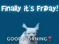 Good Morning Happy Friday Cute Puppy GIF