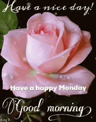 Good Morning Happy Monday Rose GIF