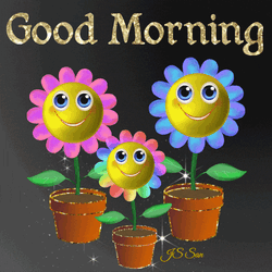 Good Morning Happy Morning Gif GIF