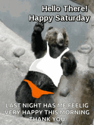 Good Morning Happy Saturday Hello There Bear GIF