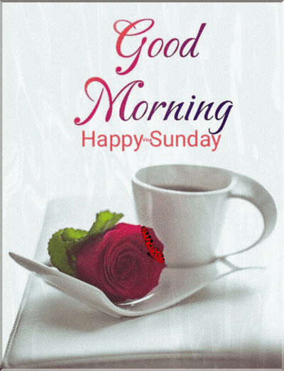 Good Morning Happy Sunday Coffee Cup And Rose GIF