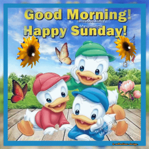 Good Morning Happy Sunday Donald Duck