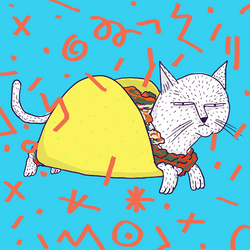 Good Morning Happy Taco Tuesday Grumpy Cat GIF