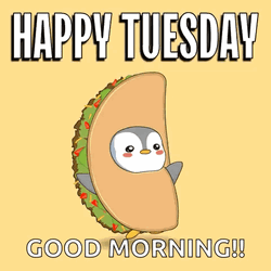 Good Morning Happy Taco Tuesday Pudgy Penguin GIF