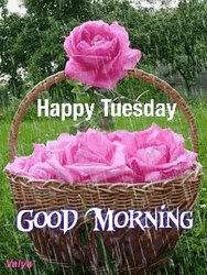 Good Morning Happy Tuesday Basket Pink Roses