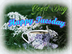 Good Morning Happy Tuesday Butterfly Cup GIF