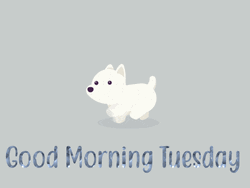 Good Morning Happy Tuesday Cute Puppy Jumping