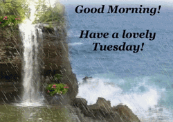 Good Morning Happy Tuesday Falls Nature Raining GIF