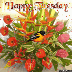 Good Morning Happy Tuesday Flowers Greetings GIF