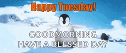 Good Morning Happy Tuesday GIF