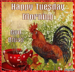Good Morning Happy Tuesday Rooster Sparkling Greeting