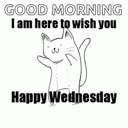 Good Morning Happy Wednesday Cat Dancing GIF