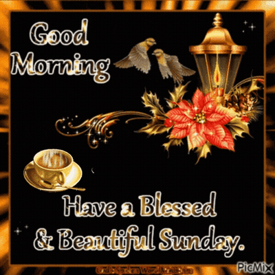 Good Morning Have A Blessed And Beautiful Sunday GIF