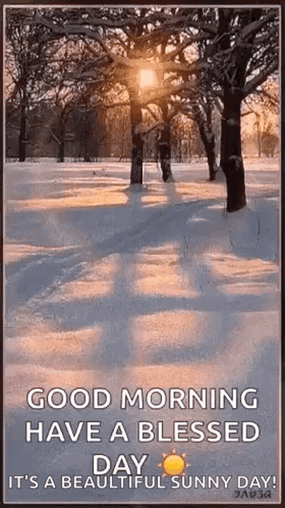 Good Morning Have A Blessed Day GIF