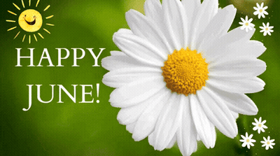 Good Morning Have A Blessed Day Woman In Field Of Flowers GIF