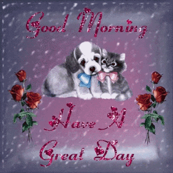 Good Morning Have A Great Day Cat Dog GIF