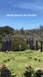 Good Morning Have A Great Day For Drying GIF