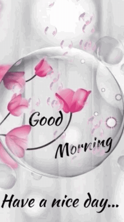 Good Morning Have A Nice Day With Pink Flowers In A Bubble . GIF