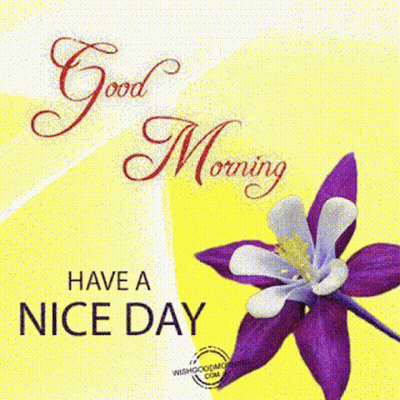 Good Morning Have A Nice Dayआपकादिनशुभहो GIF