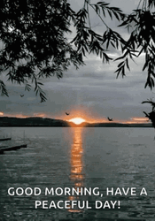 Good Morning Have A Peaceful Day GIF